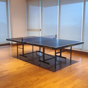 TABLE-TENNIS-TABLE